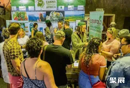 约翰内斯堡大麻展展会现场(现场盛况)4