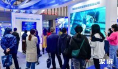 南京软博会2025门票在哪买