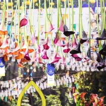 2026北京花卉园艺展时间和举办地点
