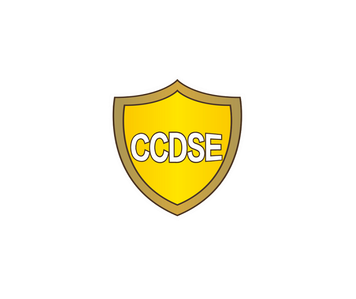 CCDSE exhibition logo
