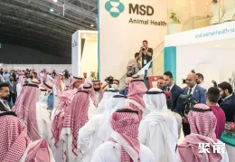 沙特家禽展现场图片1