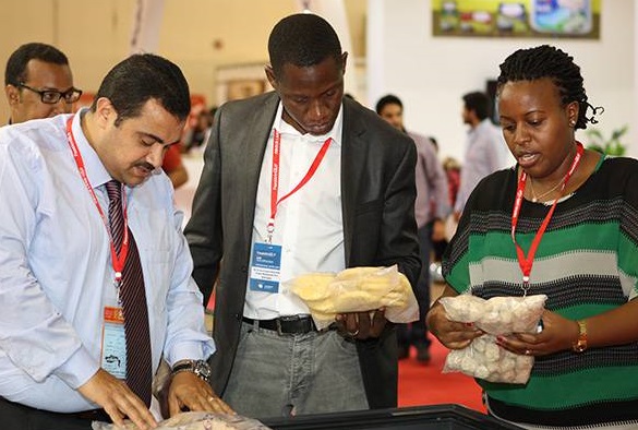 加纳食品展2026展位图与展位申请