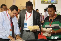 加纳食品展现场图片1