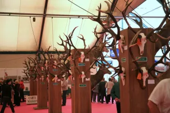 2025年法国狩猎展门票价格，如何购买？