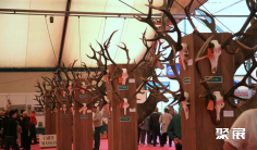 2025年法国狩猎展门票价格,如何购买?