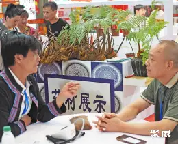 亳州中医药博览会展会现场(现场盛况)8