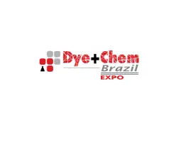 Dye Chem BrazilLogo