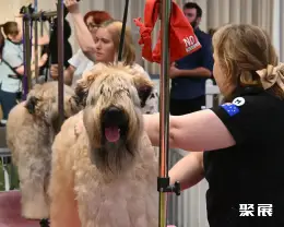 Australia Pet Show on-site exhibition (highlights)8