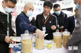 中豆展现场图片8