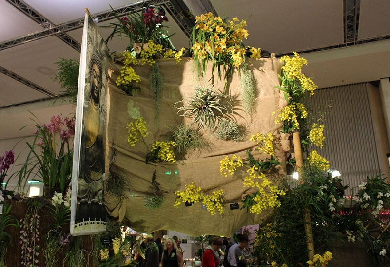 德国花卉园艺展展会现场(现场盛况)6