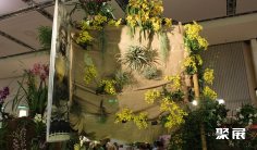 德国花卉展2026时间及地点