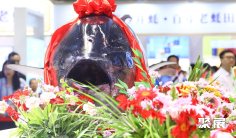 深圳渔博会将于2024年5月17-19日举办,渔粤向未来 海味誉满世界!参展品牌/会刊申请、门票如何获取