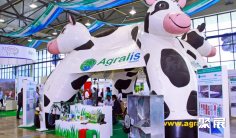 乌兹别克斯坦农业展2025时间及地点