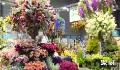 波兰园艺展2025参展攻略(时间地点+门票价格)