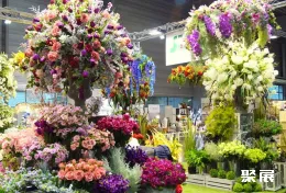 波茲南花卉園藝展展會(huì)現(xiàn)場(chǎng)(現(xiàn)場(chǎng)盛況)6
