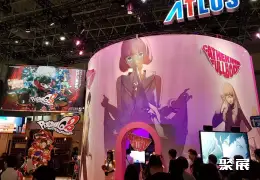 日本东京游戏展展会现场(现场盛况)5