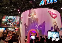 东京电玩展现场图片5