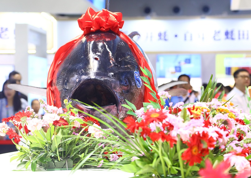 2025深圳渔博会展商名单