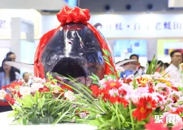 深圳渔博会现场图片3