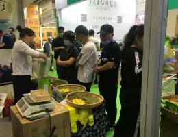 2025重庆国际茶产业展-重庆茶博会观众登记及登记地址