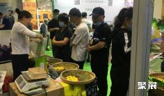 长春茶博会2025参展攻略(时间地点+门票价格)