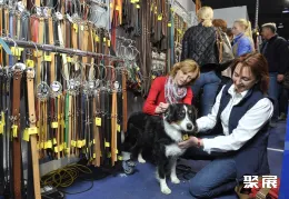 德国马术展现场图片9