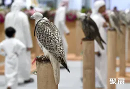 迪拜狩猎展现场图片3