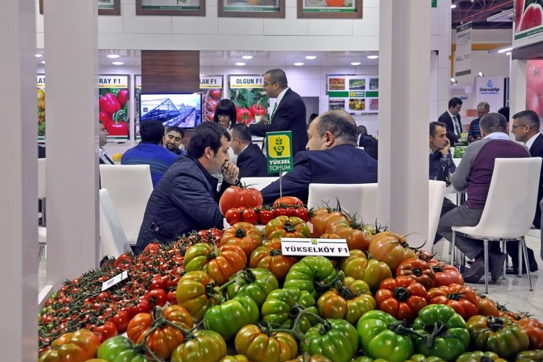 2025年土耳其温室展门票多少钱,怎么购买?