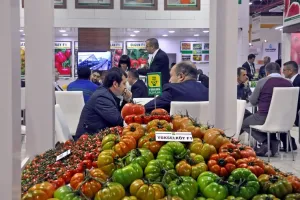 2025年土耳其温室展门票多少钱，怎么购买？