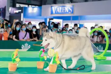 2025上海亚宠展展品范围有哪些？