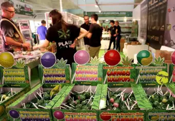 西班牙大麻展览会(SPANNABIS)展商名录