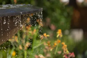 2026澳大利亚花卉展展位费与展位图