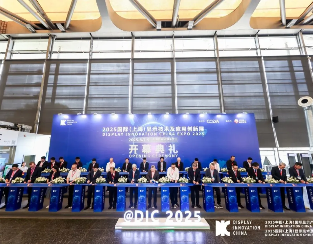 上海显示展现场图片12