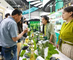 深圳茶博会-深圳国际秋季茶产业展(TEAEXPO)2026参展攻略（时间地点+门票怎么买？）