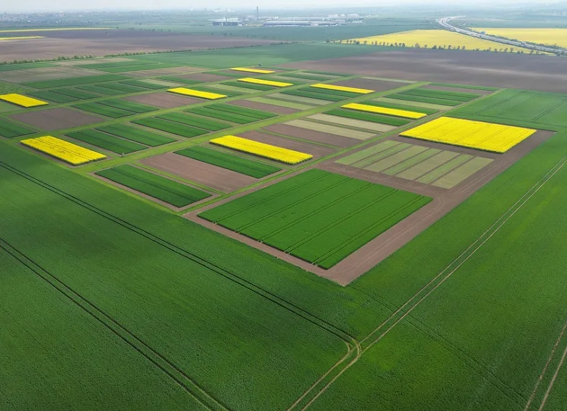 德国伯尔尼堡国际DLG作物生产中心图片4