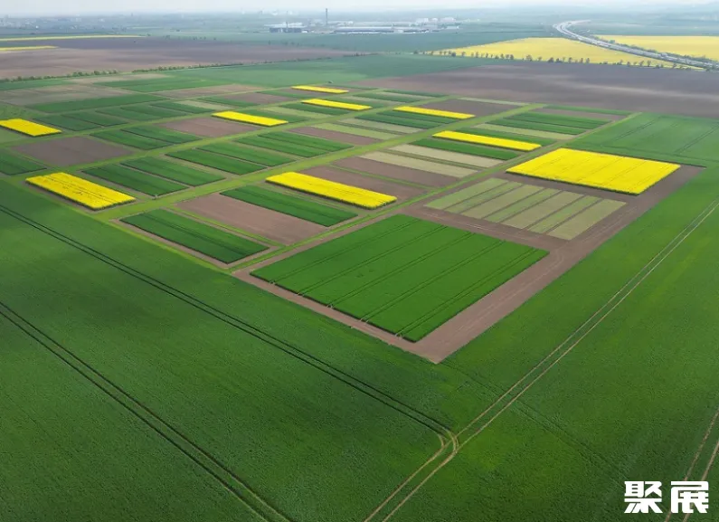 Internationales DLG-Pflanzenbauzentrum