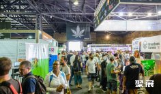 2025南非大麻展展位费与展位预订