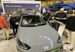 加拿大电动车展现场图片6