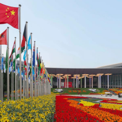 上海进博会-中国国际进口博览会CIIE实拍图