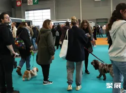 法国宠物展现场图片3