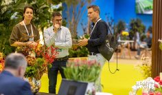 2026迪拜花卉园艺展(Myplant & Garden Middle East Green Expo)展品范围有哪些?