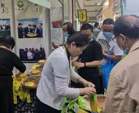 长春茶博会2025门票在哪买