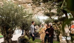 2025德国花卉园艺展门票购买方式