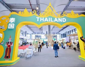 广西林产品展现场图片2