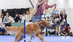 新加坡宠物用品展2025门票在哪买