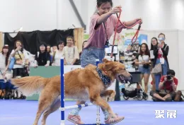 新加坡宠物用品展现场图片6