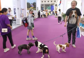 深圳寵物用品展2025門票哪里買