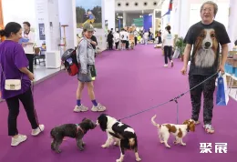 深圳寵物用品展展會(huì)現(xiàn)場(chǎng)(現(xiàn)場(chǎng)盛況)4