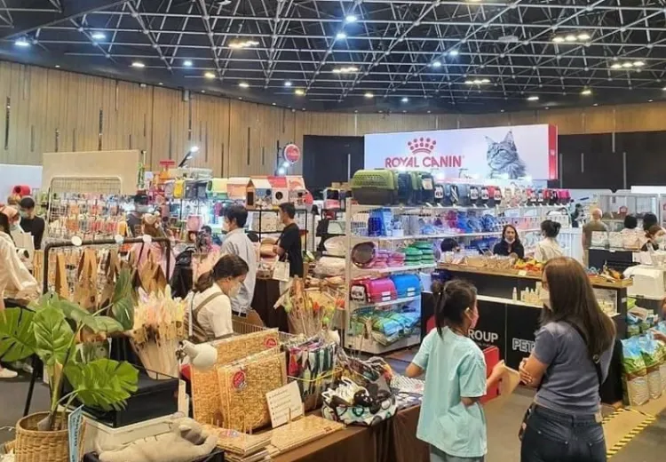 泰国曼谷猫展