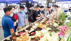 【优质展商】巴鲜岛食品(上海)有限公司——优良的产品质量